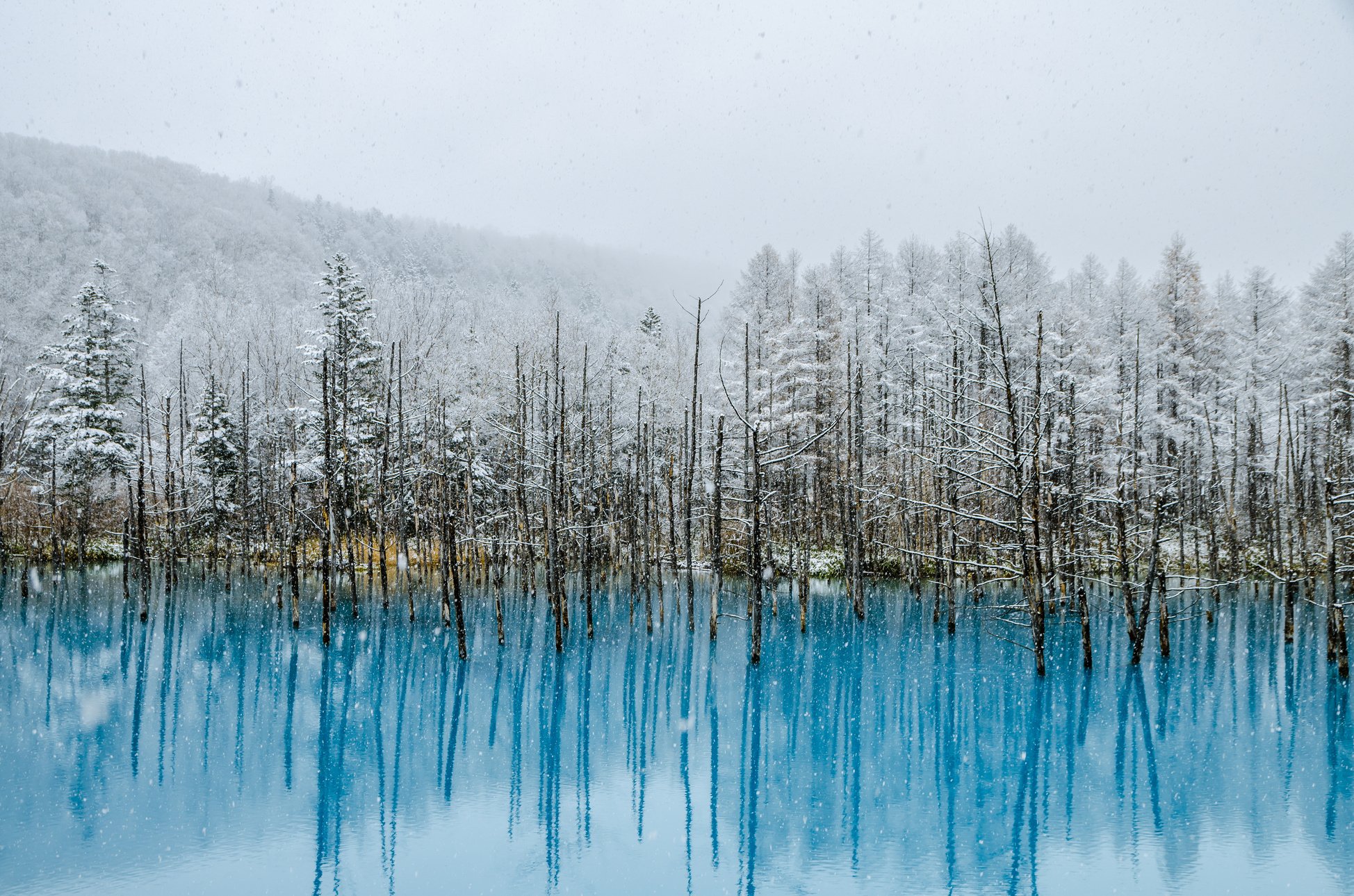 Biei Blue Pond, Hokkaido, Japan.