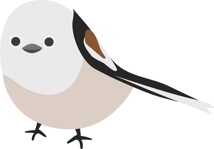 cute tit bird